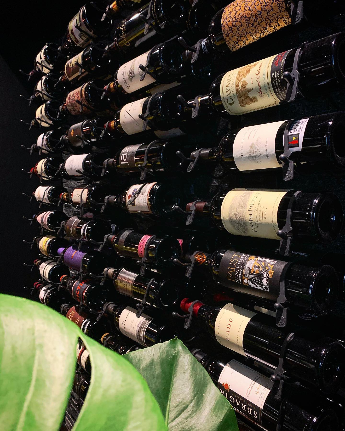 vine.condado_1771692472323